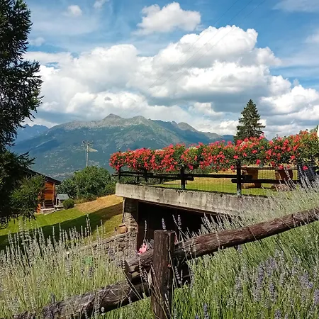 Maison Perriail Vda N 0029 *